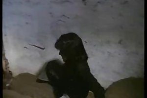 אנס עקרת sex israel hd בית